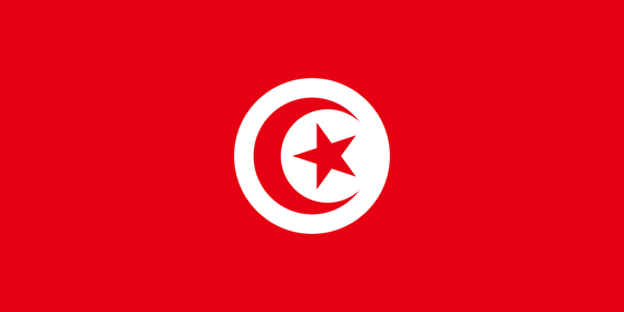 Туры в Тунис из Санкт-Петербурга 2024: цены на отдых